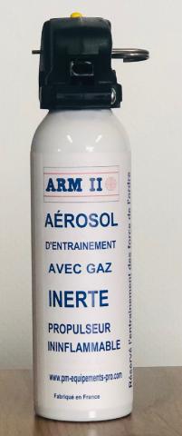 Aérosol FACTICE Gaz 100ml